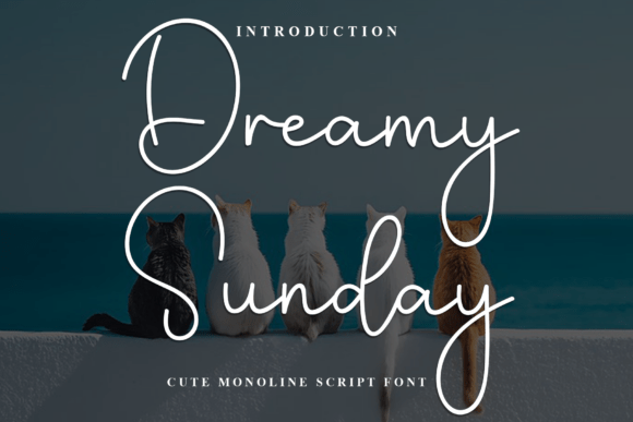 Dreamy Sunday Font: Elevate Digital Campaigns