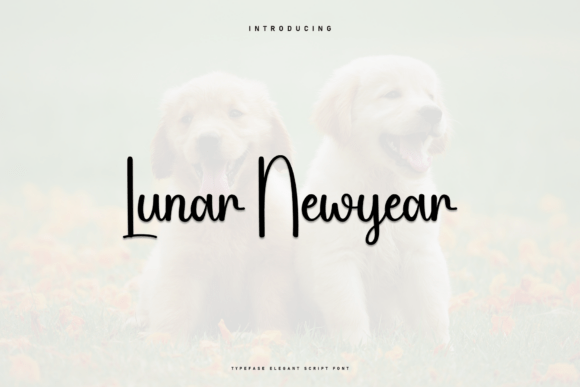 Lunar Newyear Font: Elevating Small Business Branding