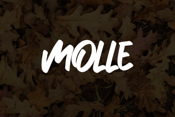 Molle Font: Elegant Typography for Handmade Products